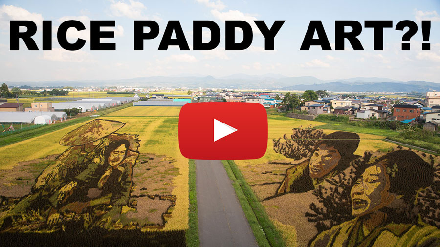Link to Video of Japan's Rice Paddy Tanbo Art in Inakadate